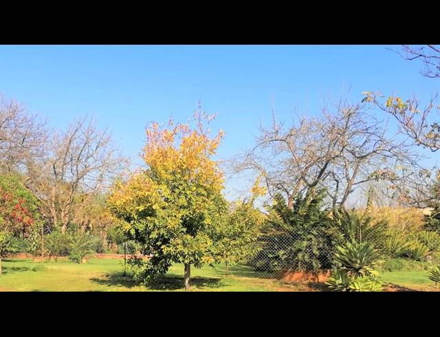2,800M² VACANT LAND FOR SALE IN BENDOR
